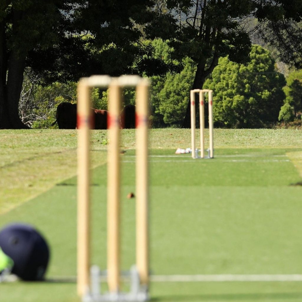 Cricket: State match suspended due to dangerous 'very flat' wicket